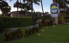 Best Western Hotel Naples Florida